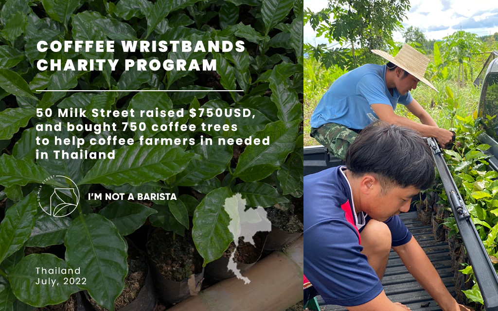 50 milk street raised $750 through Coffee Wristbands and bought 750 coffee trees to help the coffee farmers in Thailand
